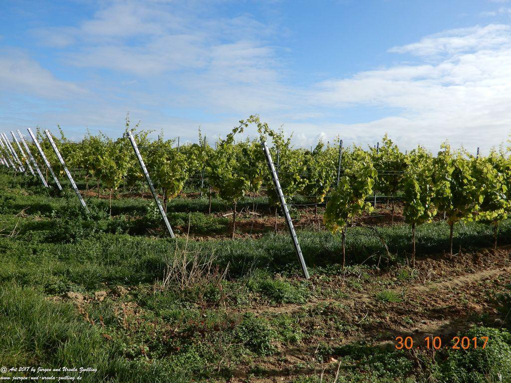 Philosophische Bildwanderung Hiwweltour-Stadecker-Warte - Rheinhessen