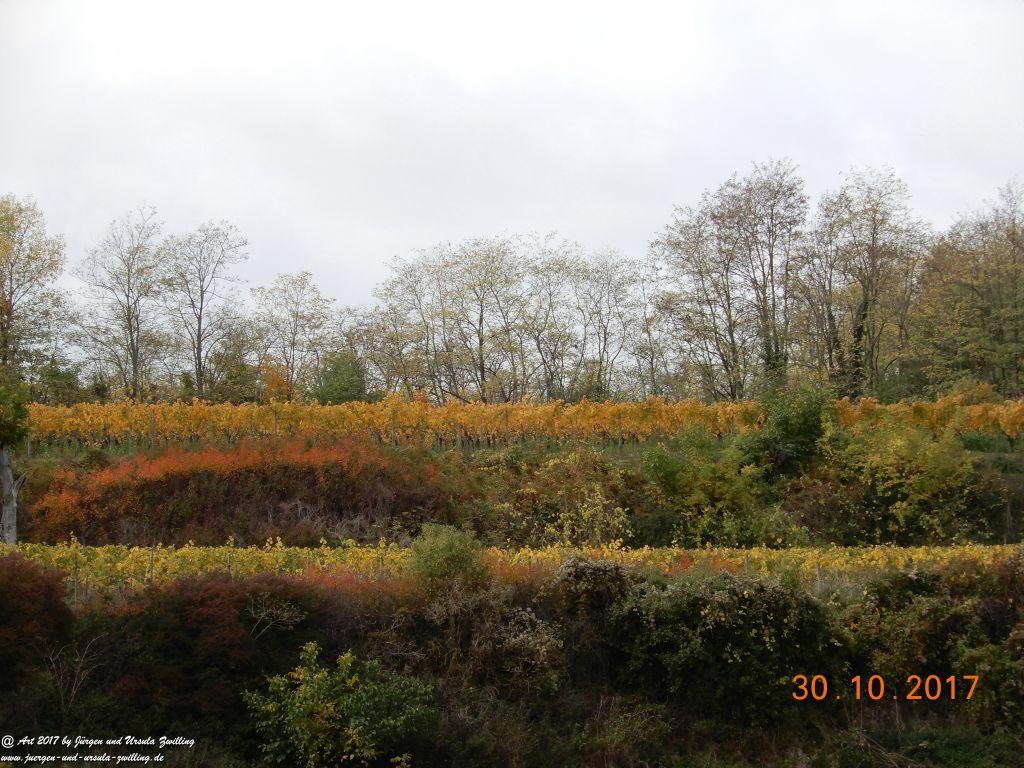 Philosophische Bildwanderung Hiwweltour-Stadecker-Warte - Rheinhessen
