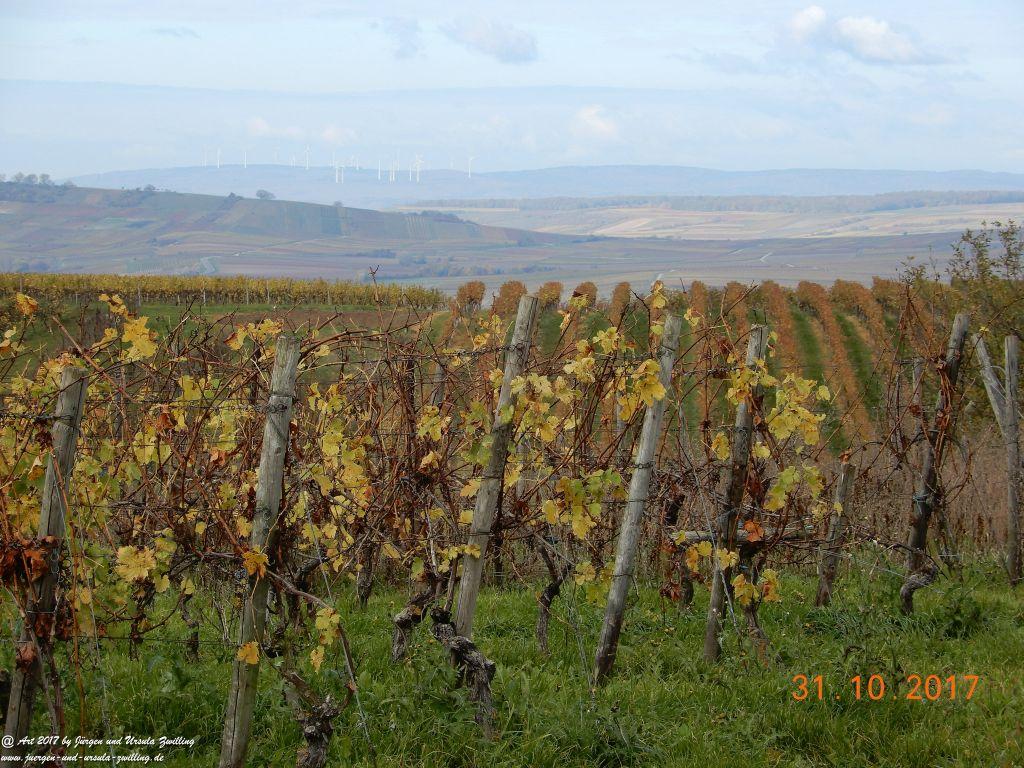 Philosophische Bildwanderung Hiwweltour Neuborn - Rommersheim (Wörrstadt) Rheinhessen