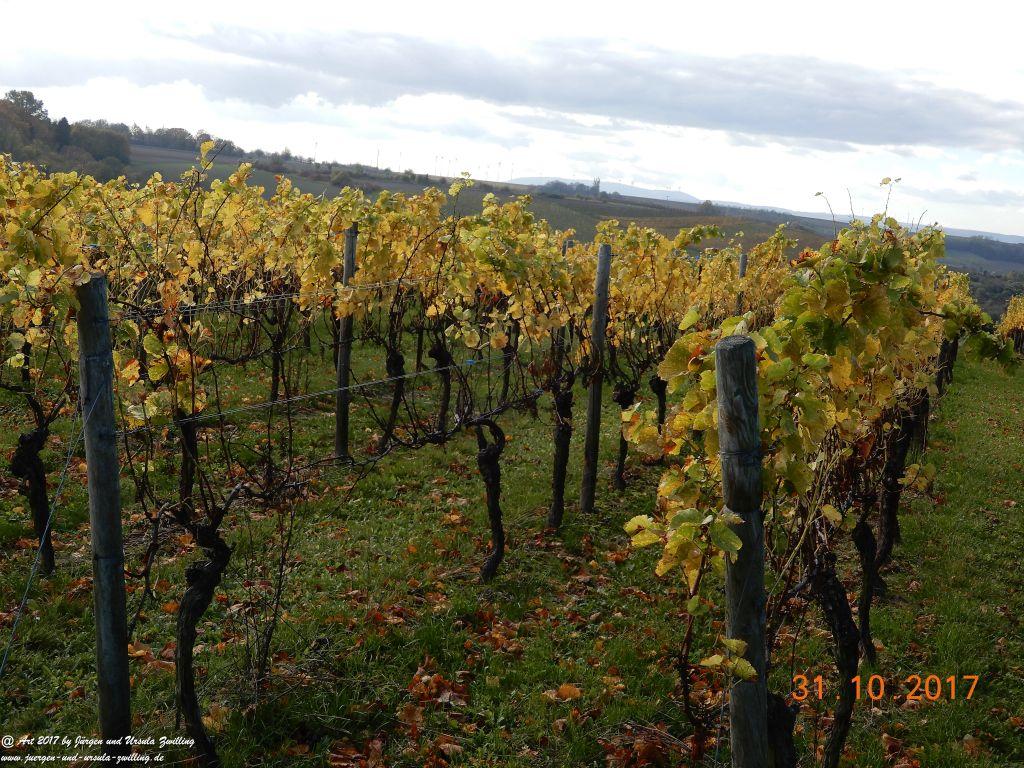 Philosophische Bildwanderung Hiwweltour Neuborn - Rommersheim (Wörrstadt) Rheinhessen