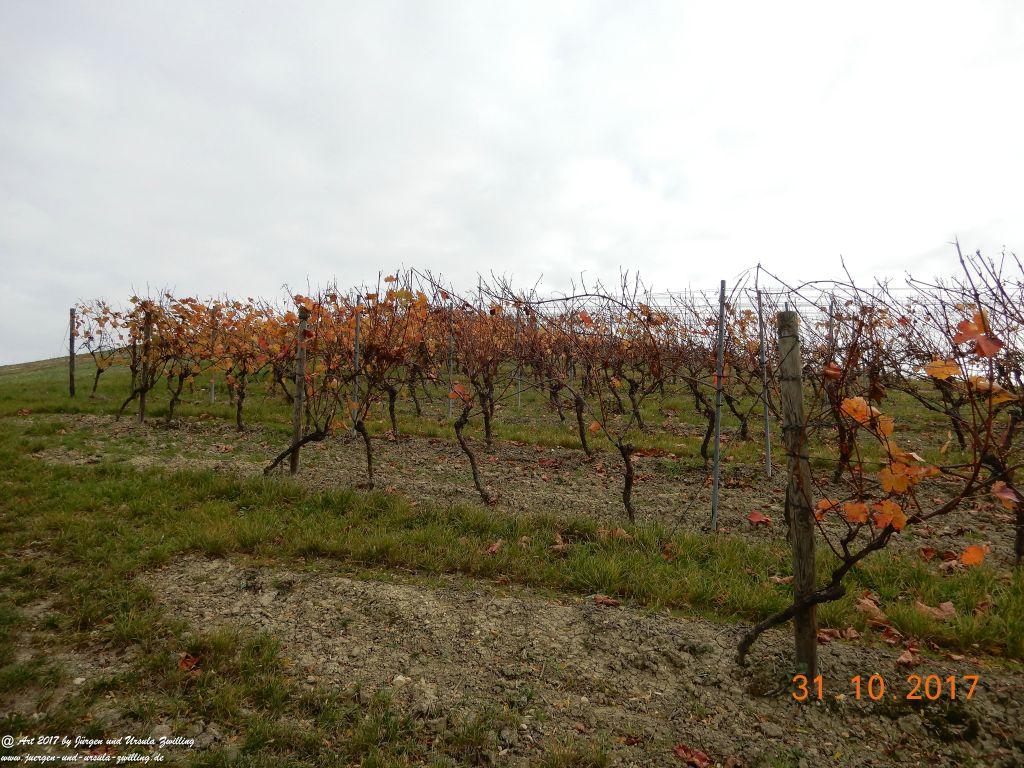 Rommersheim -Wörrstadt -Rheinhessen