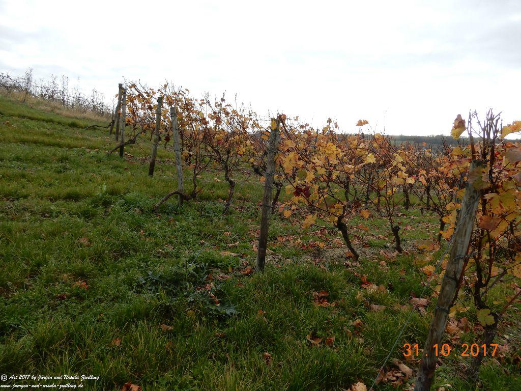 Rommersheim -Wörrstadt -Rheinhessen