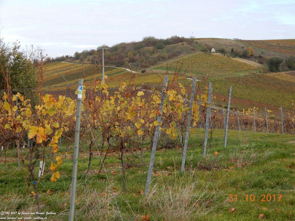 Rommersheim -Wörrstadt -Rheinhessen