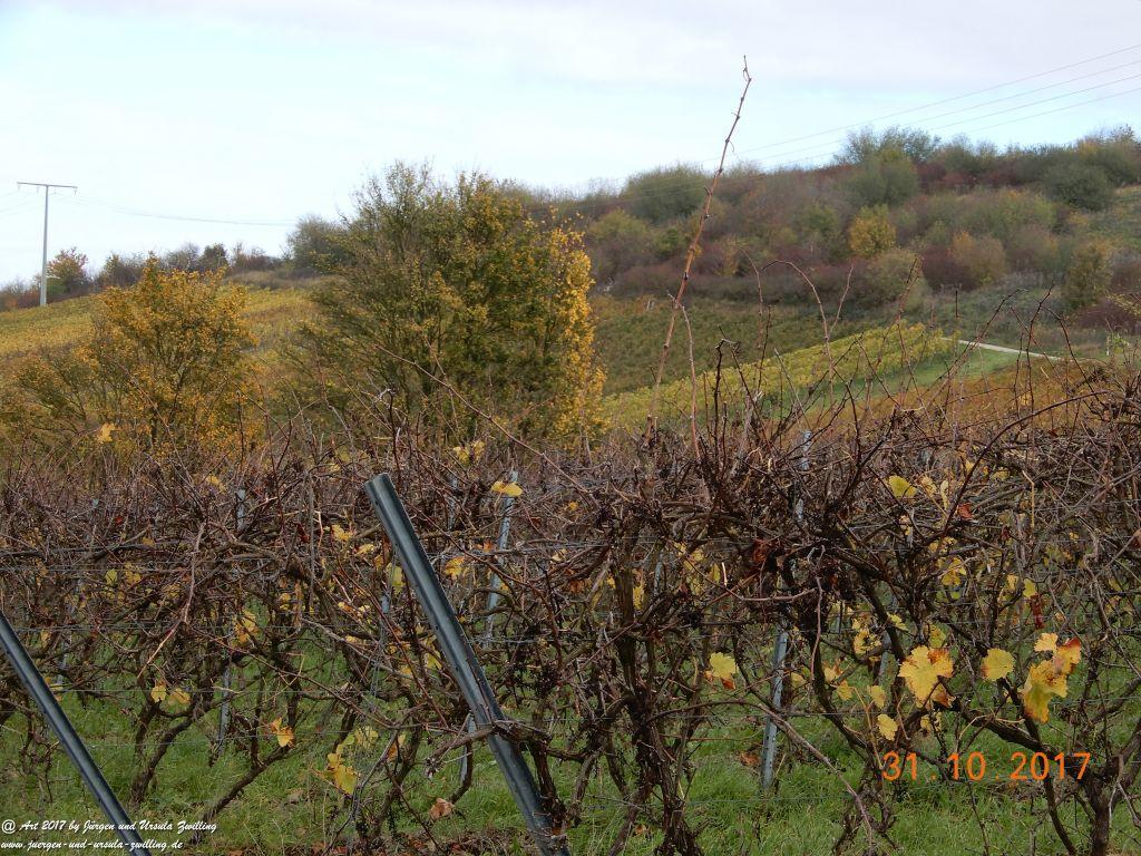 Rommersheim -Wörrstadt -Rheinhessen