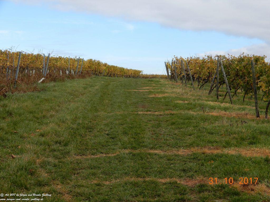 Rommersheim -Wörrstadt -Rheinhessen