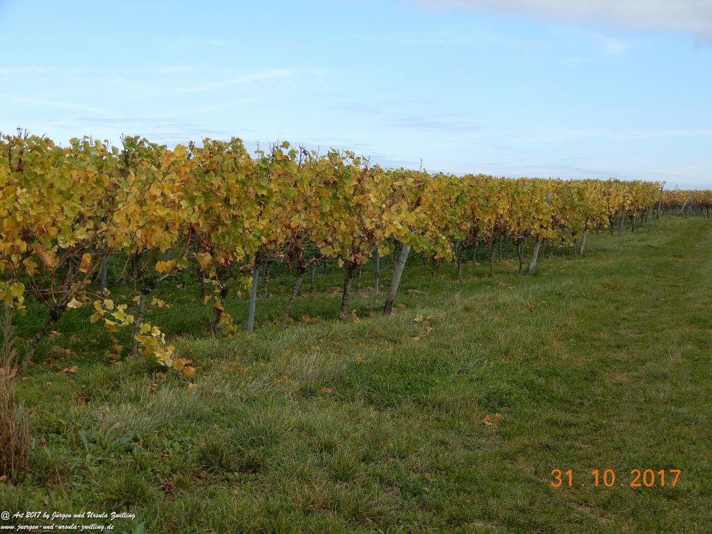 Rommersheim -Wörrstadt -Rheinhessen