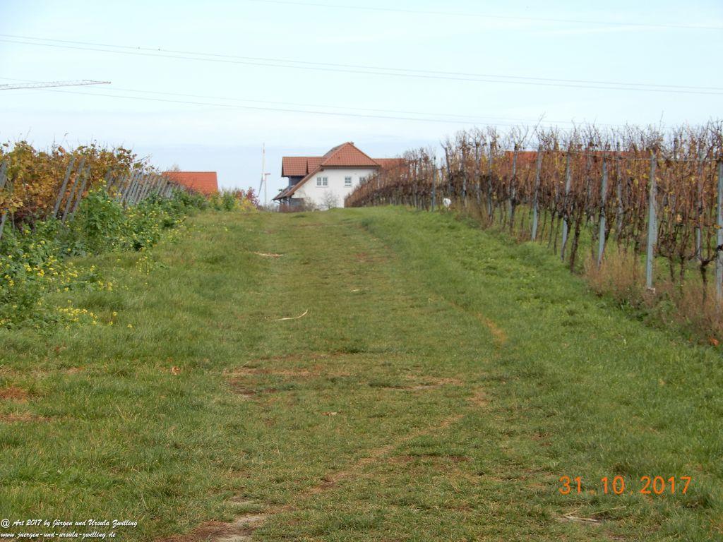 Rommersheim -Wörrstadt -Rheinhessen