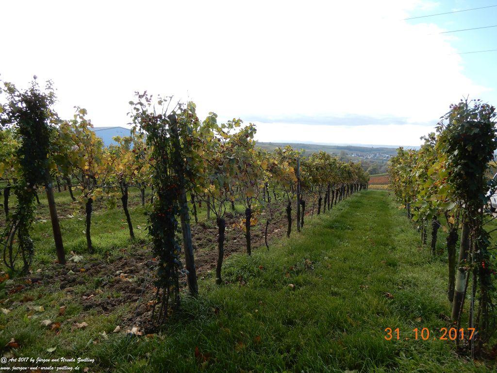 Rommersheim -Wörrstadt -Rheinhessen