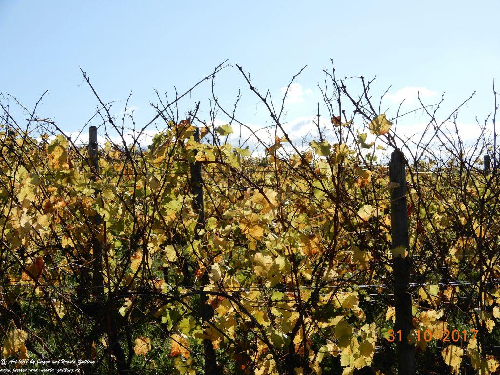 Rommersheim -Wörrstadt -Rheinhessen