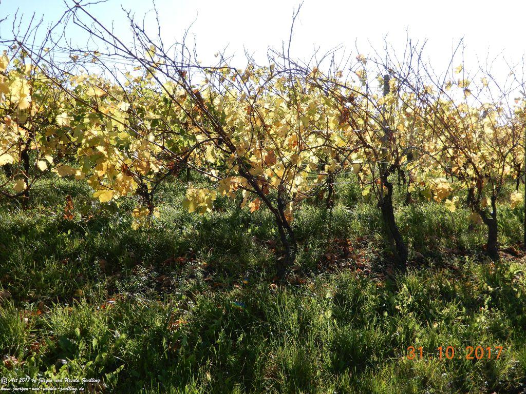 Rommersheim -Wörrstadt -Rheinhessen