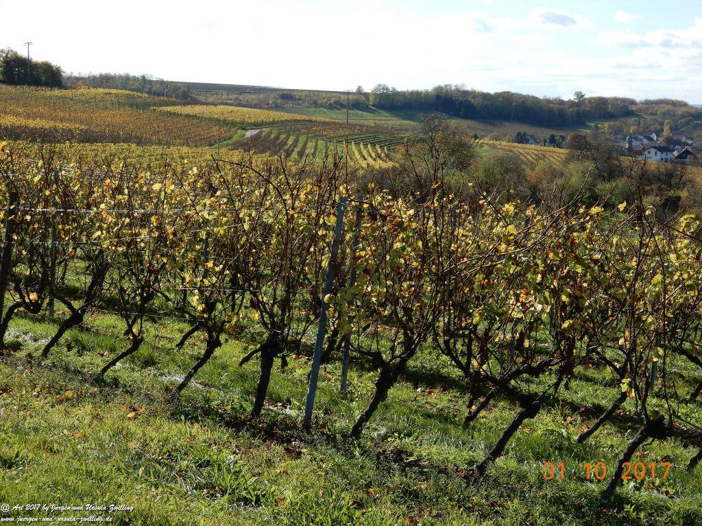 Rommersheim -Wörrstadt -Rheinhessen
