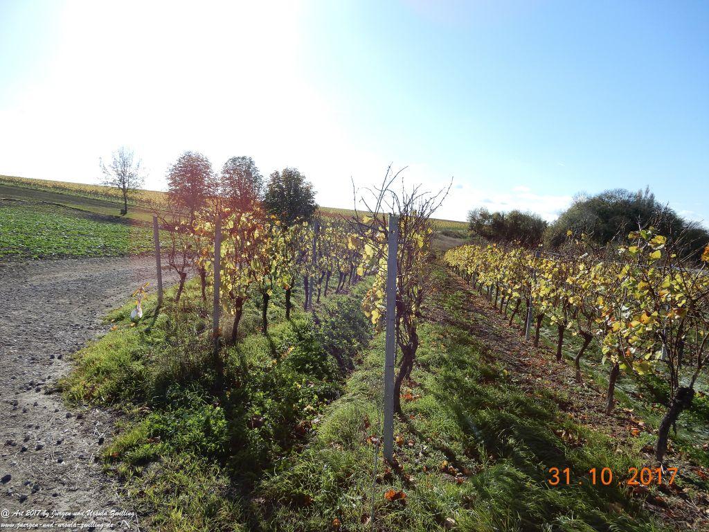 Rommersheim -Wörrstadt -Rheinhessen