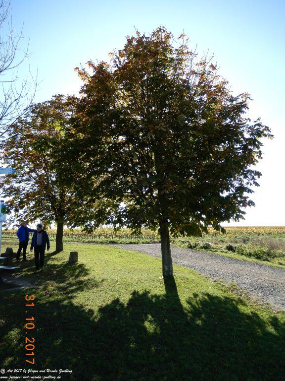 Rommersheim -Wörrstadt -Rheinhessen