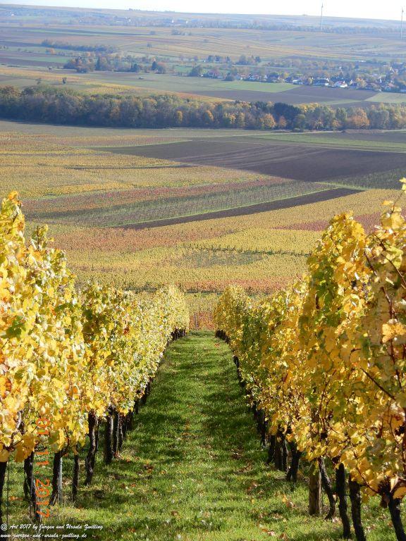 Philosophische Bildwanderung Hiwweltour-Zornheimer-Berg-Rheinhessen