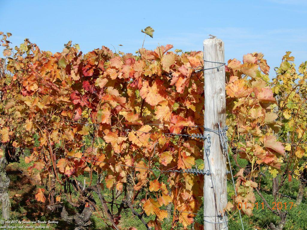 Philosophische Bildwanderung Hiwweltour-Zornheimer-Berg-Rheinhessen