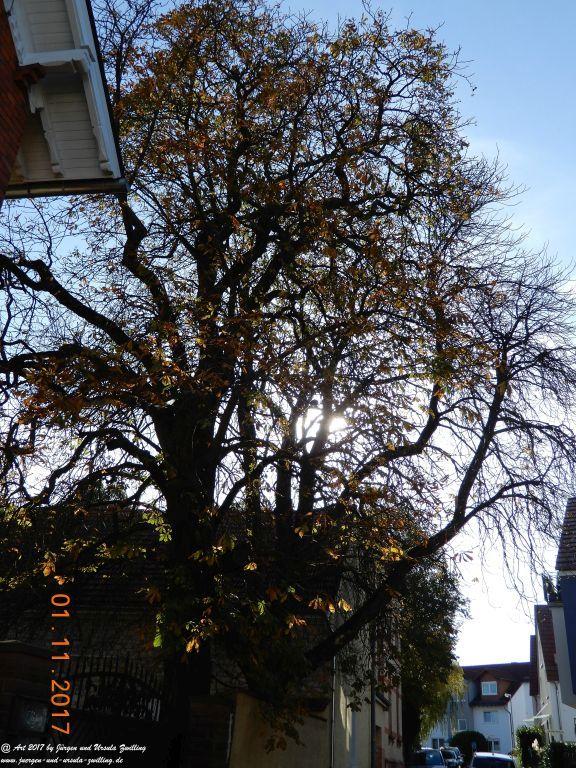 Zornheim in Rheinhessen