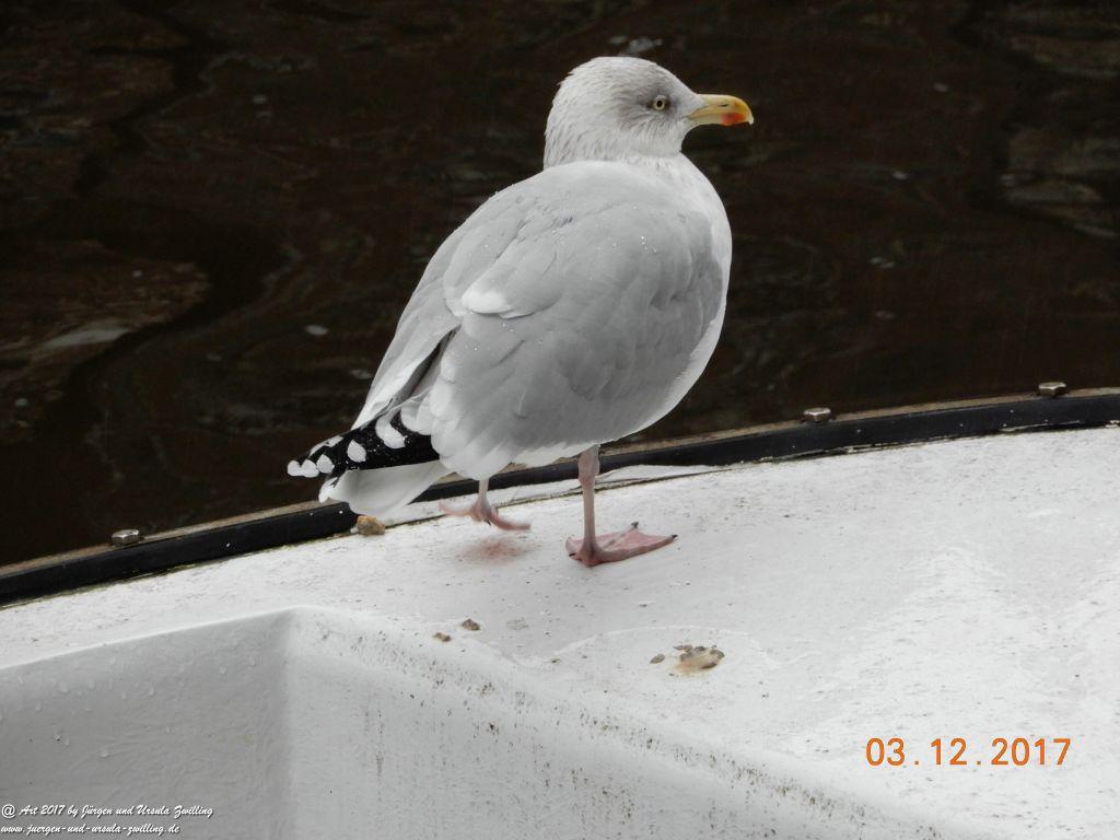 Amsterdam - Niederlande