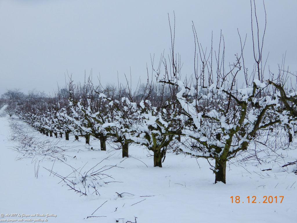 Schnee in den Feldern von Mainz Finthen und Ober Olmer Wald - Rheinhessen