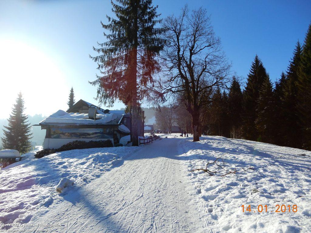 Philosophische Bildwanderung Schwarzenberg - Panoramawanderung – Bödele – Meierei – Dornbirner Hütte – Lustenauer Hütte – Schwarzenberg - Bregenzerwald - Vorarlberg - Österreich