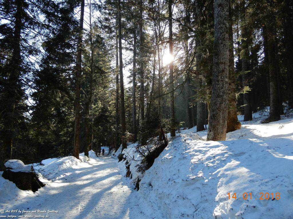 Philosophische Bildwanderung Schwarzenberg - Panoramawanderung – Bödele – Meierei – Dornbirner Hütte – Lustenauer Hütte – Schwarzenberg - Bregenzerwald - Vorarlberg - Österreich