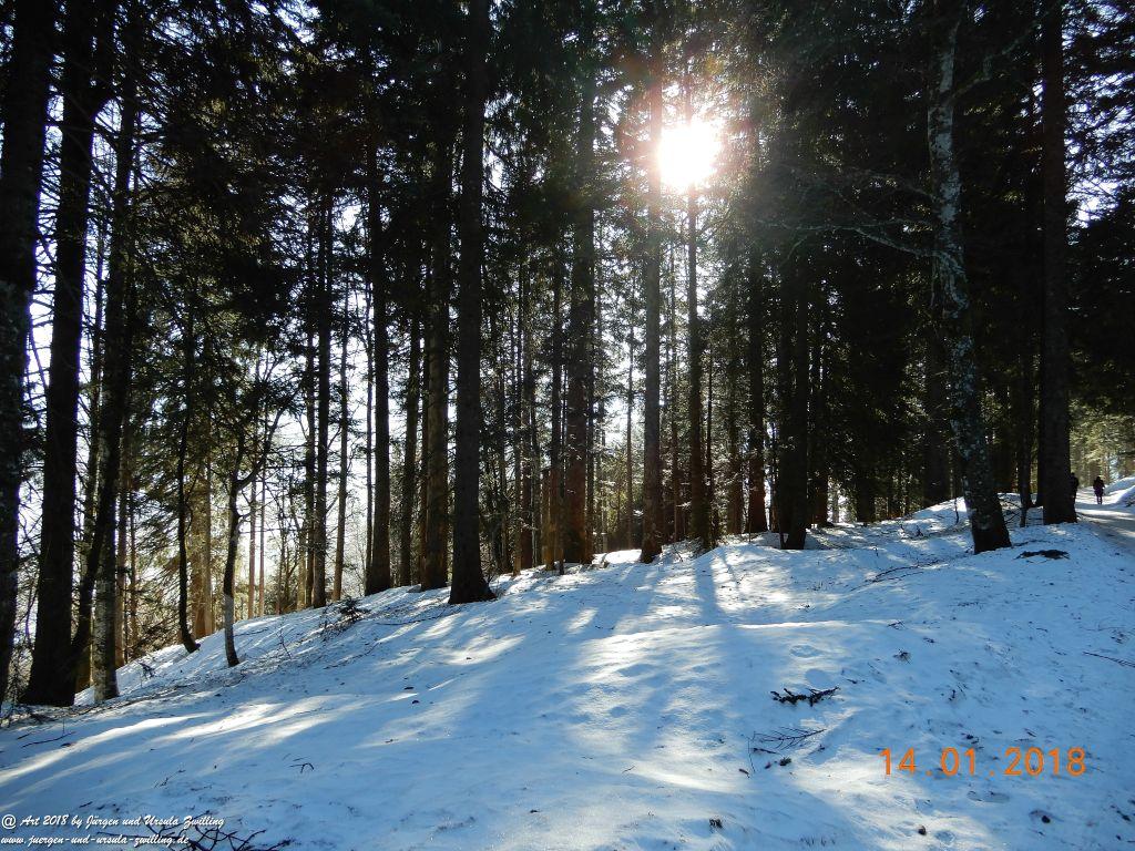 Philosophische Bildwanderung Schwarzenberg - Panoramawanderung – Bödele – Meierei – Dornbirner Hütte – Lustenauer Hütte – Schwarzenberg - Bregenzerwald - Vorarlberg - Österreich
