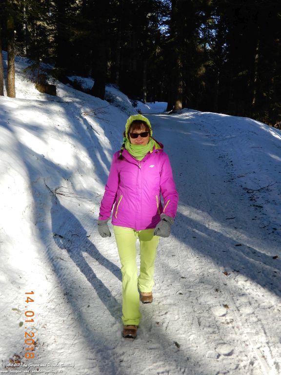 Philosophische Bildwanderung Schwarzenberg - Panoramawanderung – Bödele – Meierei – Dornbirner Hütte – Lustenauer Hütte – Schwarzenberg - Bregenzerwald - Vorarlberg - Österreich