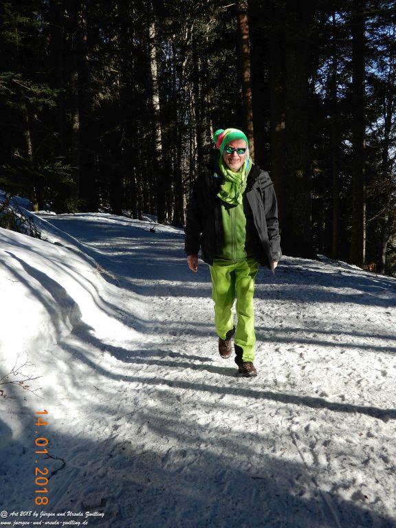 Philosophische Bildwanderung Schwarzenberg - Panoramawanderung – Bödele – Meierei – Dornbirner Hütte – Lustenauer Hütte – Schwarzenberg - Bregenzerwald - Vorarlberg - Österreich