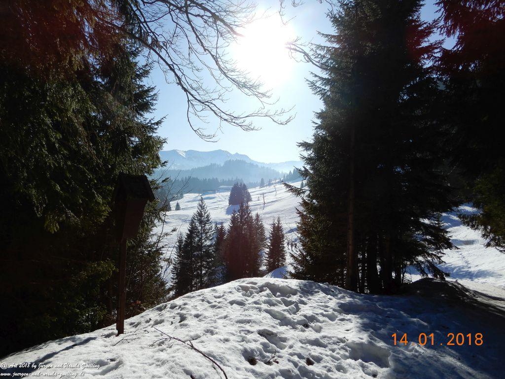 Philosophische Bildwanderung Schwarzenberg - Panoramawanderung – Bödele – Meierei – Dornbirner Hütte – Lustenauer Hütte – Schwarzenberg - Bregenzerwald - Vorarlberg - Österreich