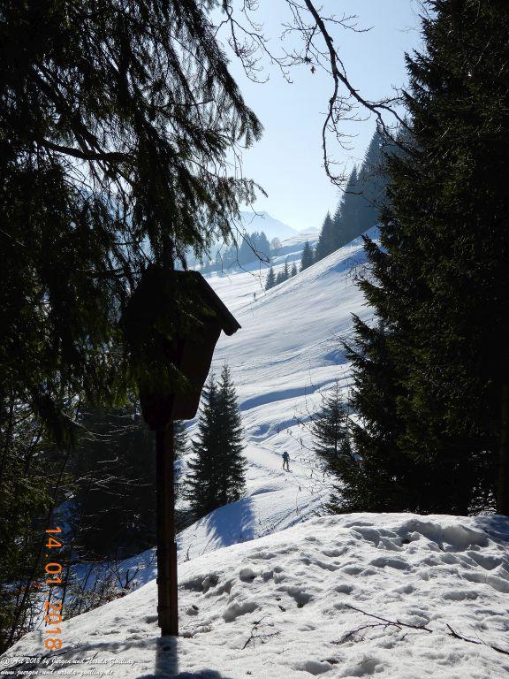 Philosophische Bildwanderung Schwarzenberg - Panoramawanderung – Bödele – Meierei – Dornbirner Hütte – Lustenauer Hütte – Schwarzenberg - Bregenzerwald - Vorarlberg - Österreich