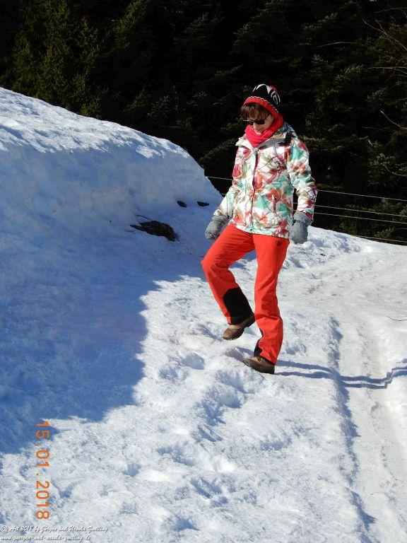 Philosophische Bildwanderung  Bödele - Oberer Geißkopf - Bergvorsäß - Lorena - Maien - Ratzen - Freien Schwarzenberg- Bregenzerwald - Vorarlberg - Österreich