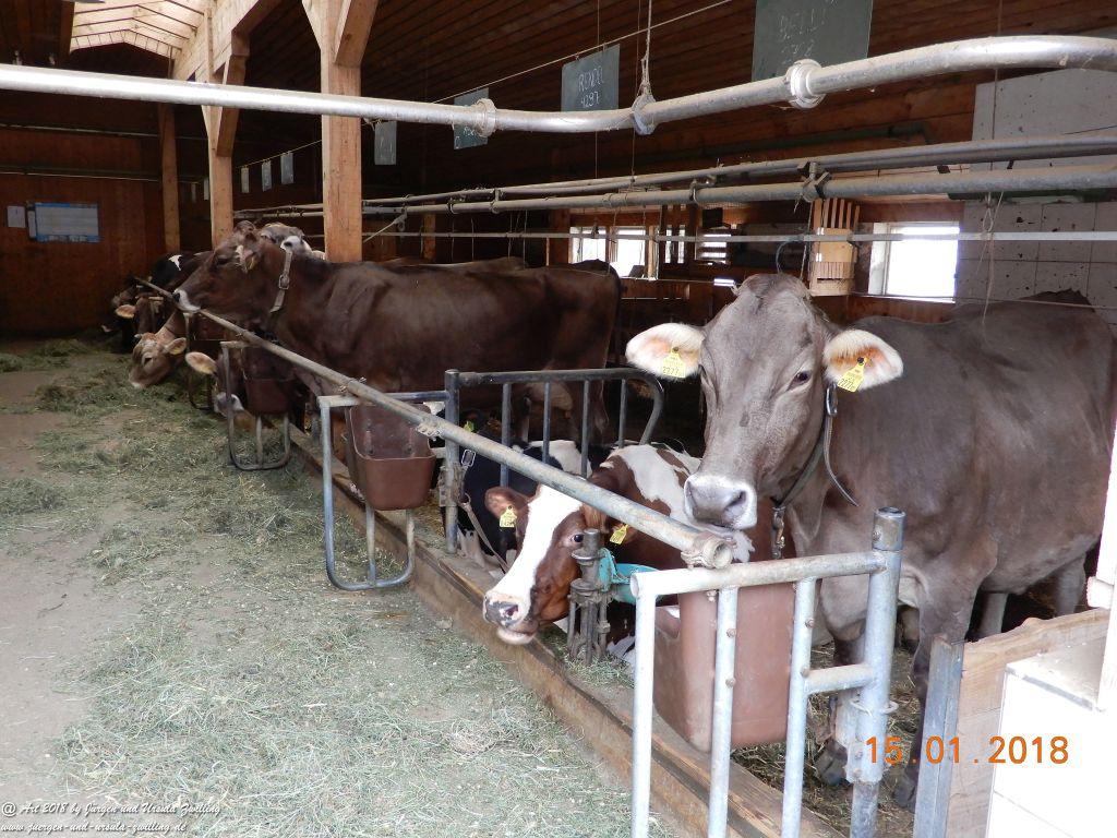 Philosophische Bildwanderung Bödele - Oberer Geißkopf - Bergvorsäß - Lorena - Maien - Ratzen - Freien Schwarzenberg- Bregenzerwald - Vorarlberg - Österreich