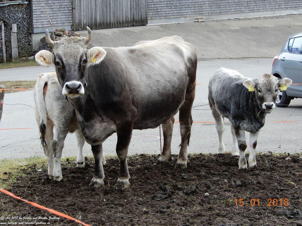 Philosophische Bildwanderung Bödele - Oberer Geißkopf - Bergvorsäß - Lorena - Maien - Ratzen - Freien Schwarzenberg- Bregenzerwald - Vorarlberg - Österreich