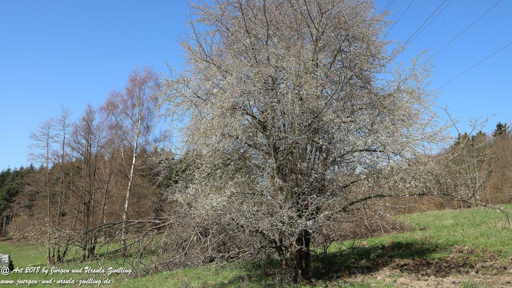 Philosophische Bildwanderung Rauenthaler Spange - Rheingau -Taunus