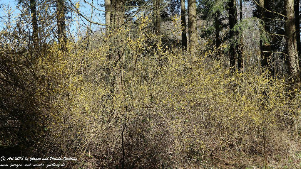 Philosophische Bildwanderung Rauenthaler Spange - Rheingau -Taunus