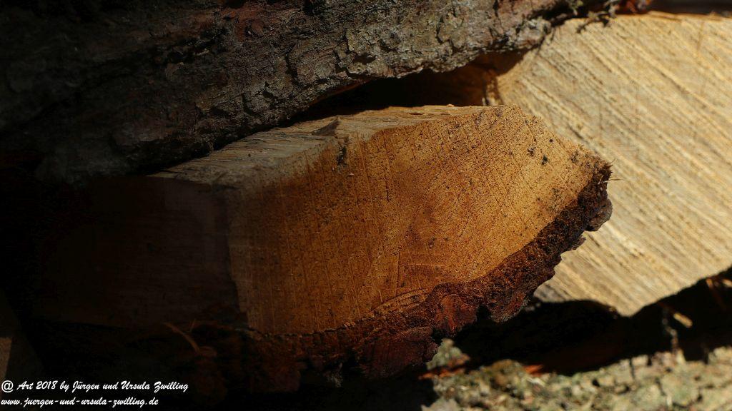 Philosophische Bildwanderung Rauenthaler Spange - Rheingau -Taunus