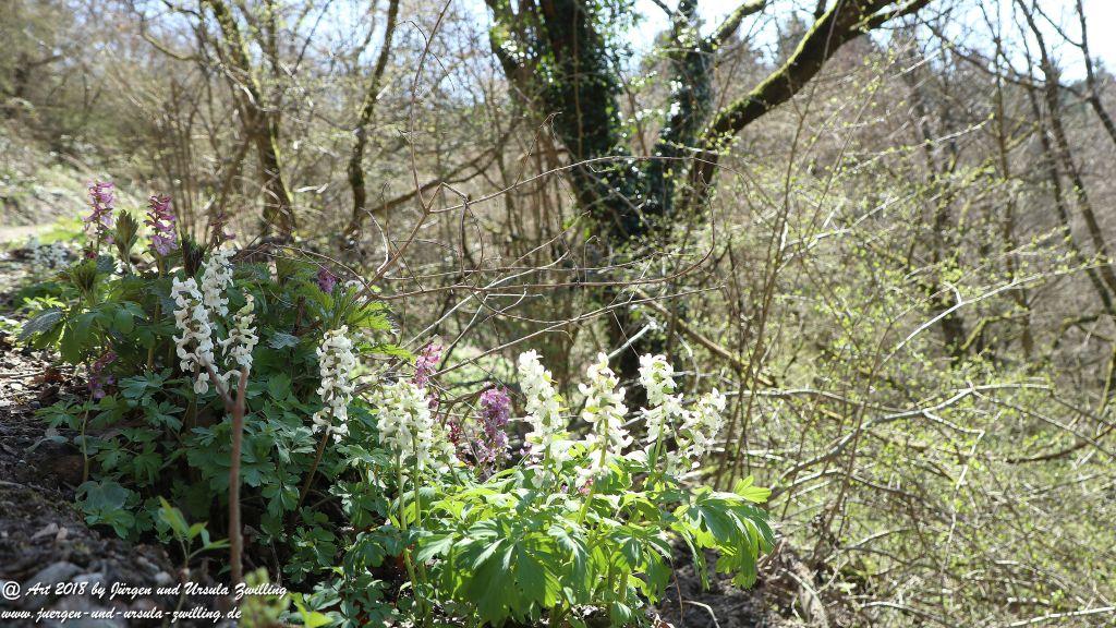 Philosophische Bildwanderung Rauenthaler Spange - Rheingau -Taunus