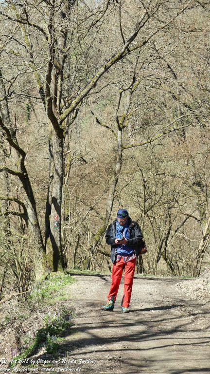 Philosophische Bildwanderung Rauenthaler Spange - Rheingau -Taunus