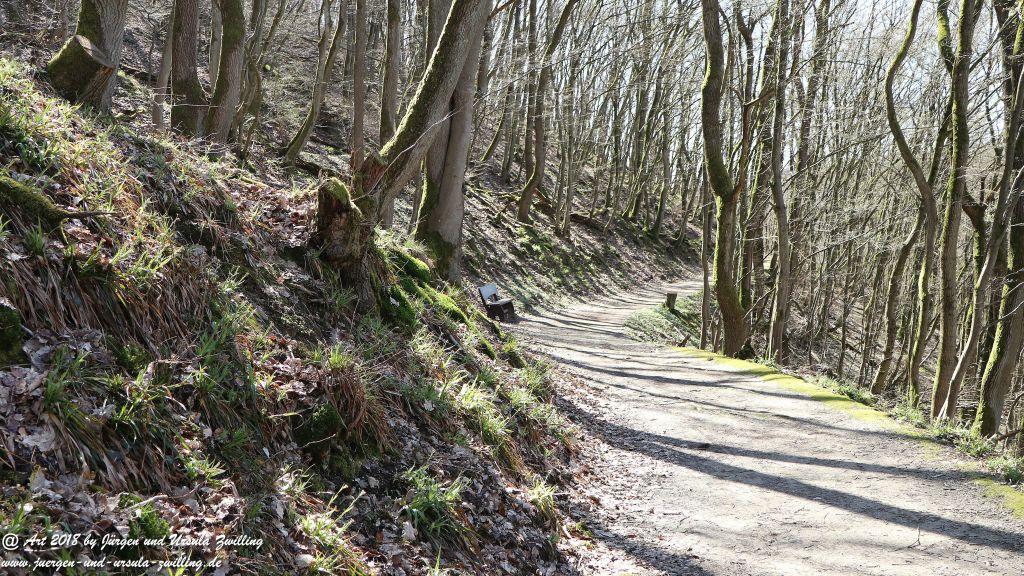 Philosophische Bildwanderung Rauenthaler Spange - Rheingau -Taunus