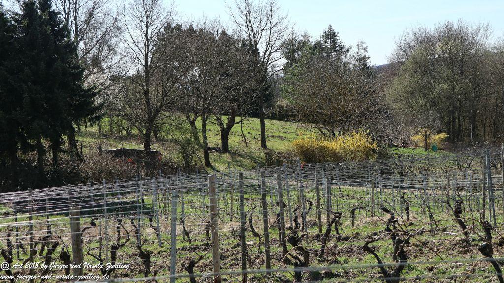 Philosophische Bildwanderung Rauenthaler Spange - Rheingau -Taunus