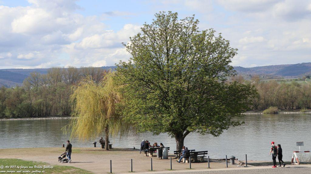 Heidenfahrt -Heidesheim - Rhein - Rheinhessen