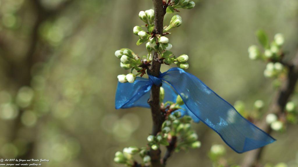 Blütenmeer in den Feldern von Mainz Finthen - Rheinhessen