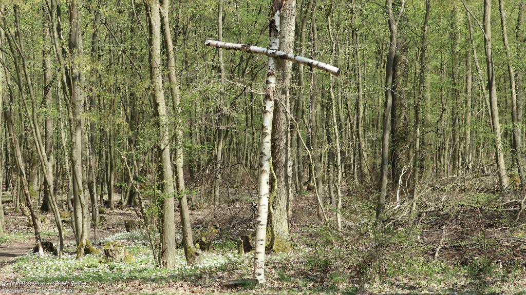 Frühlingserwachen im Ober Olmer Wald - Rheinhessen