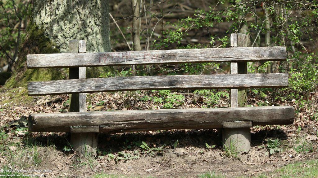 Frühlingserwachen im Ober Olmer Wald - Rheinhessen