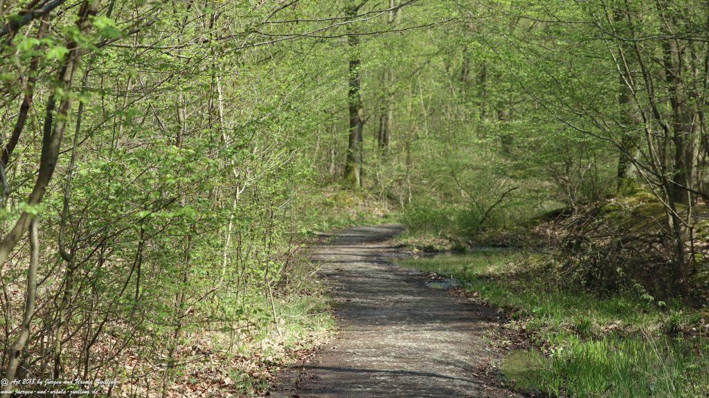 Frühlingserwachen im Ober Olmer Wald - Rheinhessen