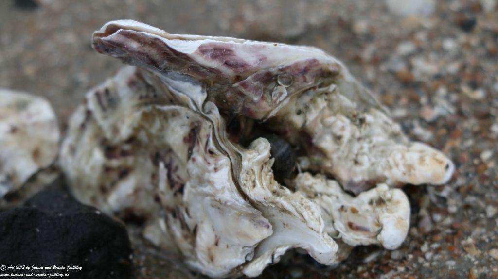 Philosophische Bildwanderung Küstenwanderung Breskens - Niederlande -Holland -Nordsee