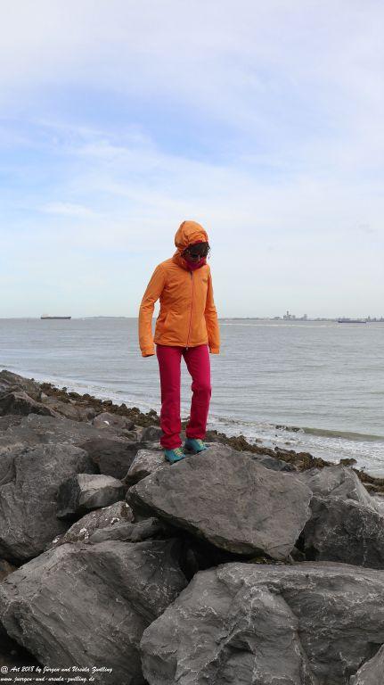 Philosophische Bildwanderung Robben - Küstenwanderung Breskens - Niederland - Nordsee