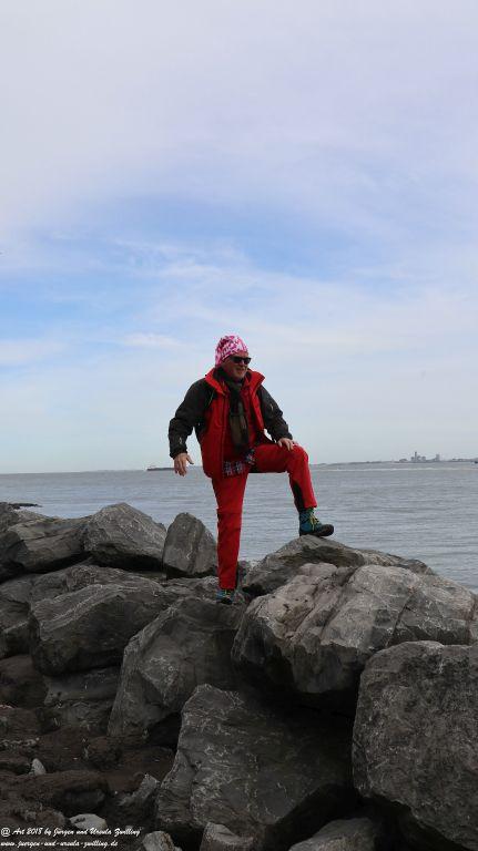 Philosophische Bildwanderung Robben - Küstenwanderung Breskens - Niederland - Nordsee