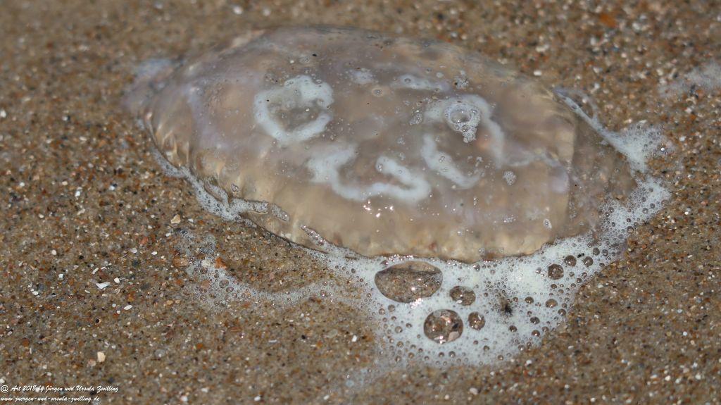 Philosophische Bildwanderung Vlissingen - Zeeland - Küstenwanderung Niederland