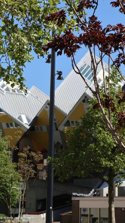 Rotterdam  - Niederlande - Nordsee