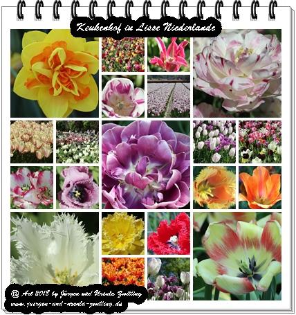Keukenhof in Lisse Niederlande -Nordsee
